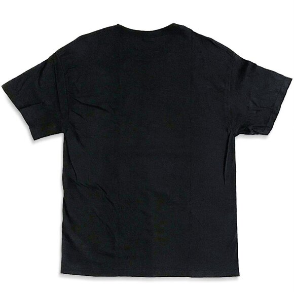 Vintage Lynyrd Skynyrd “Best Of The Rest” Tee - Picture 2 of 9